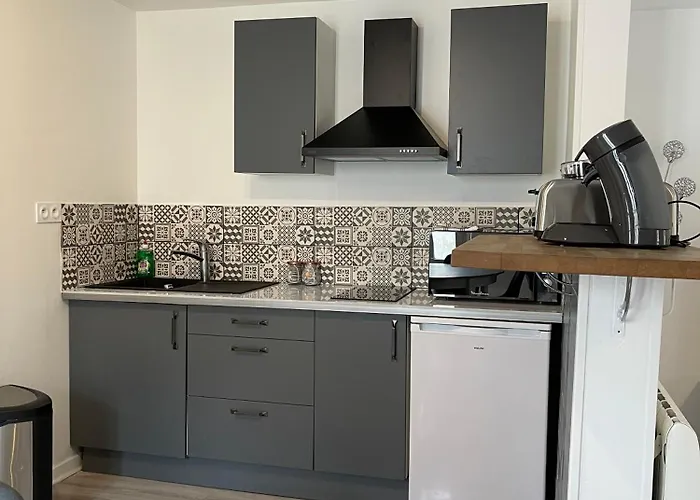 アパート Le Duplex - Hyper Centre - Equipe - Parking