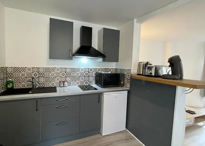 アパート Le Duplex - Hyper Centre - Equipe - Parking クレルモン・フェラン